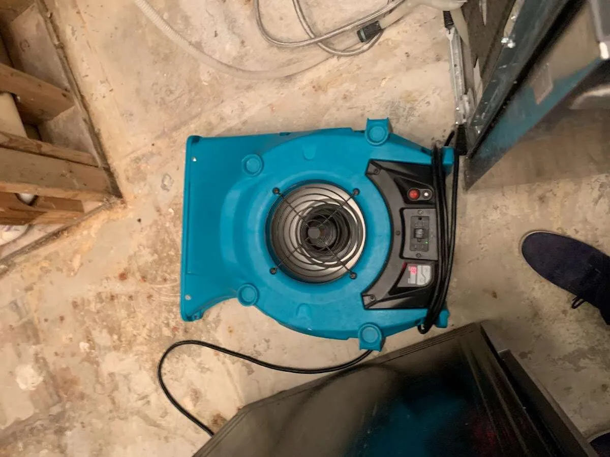 Air mover drying equipment for Mold Remediation & Removal in North Royalton